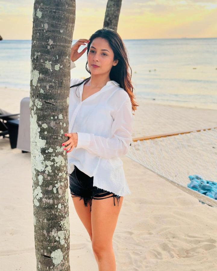 ShehnaazGill-17.jpg 17