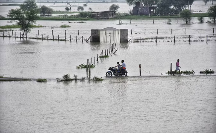 ganga.jpg