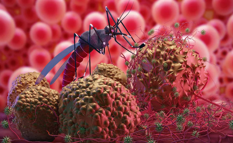 virus.jpg