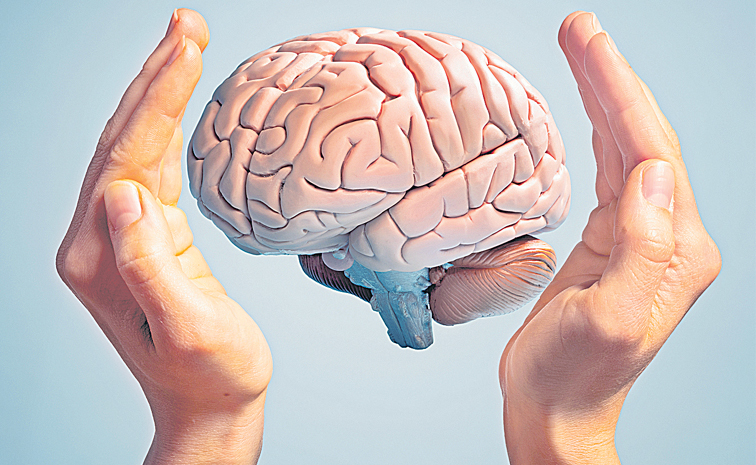 BRAIN_0.jpg