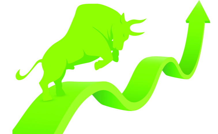 BULL.jpg