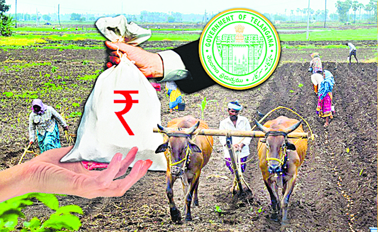 FARMERPADDY_20RUNAMAFI.jpg