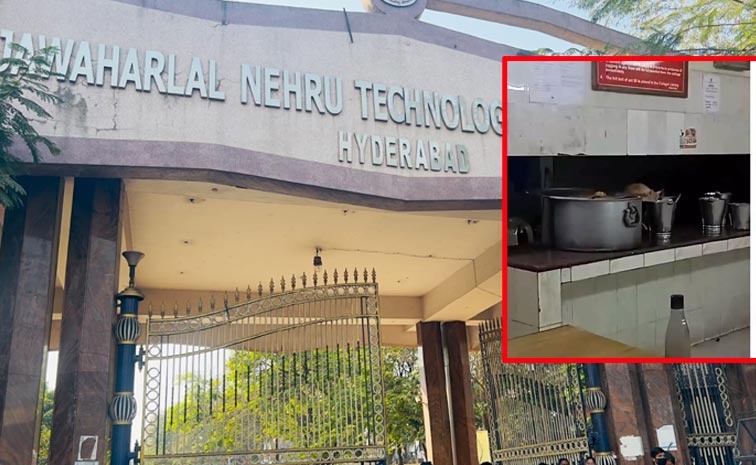 JNTU_Cat_Incident.jpg
