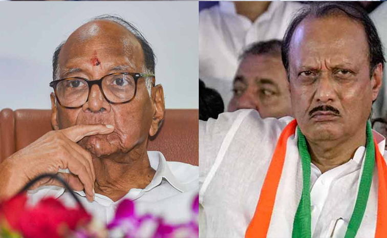 sharad_20pawar_20and_20ajit_20pawar1.jpg