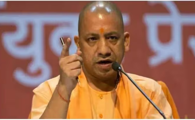 yogi.jpg