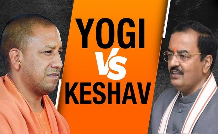 yogi.jpg