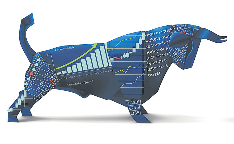 BULL-514753795.jpg