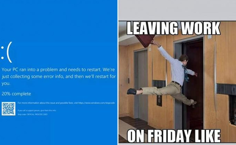 Microsoft.jpg