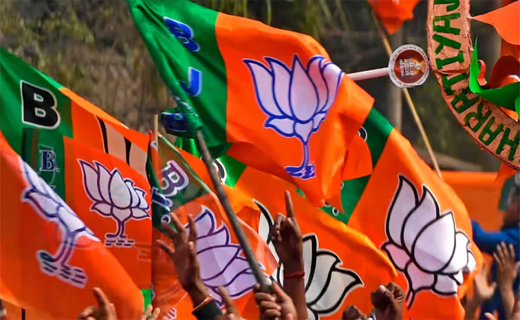 bjp_4.jpg