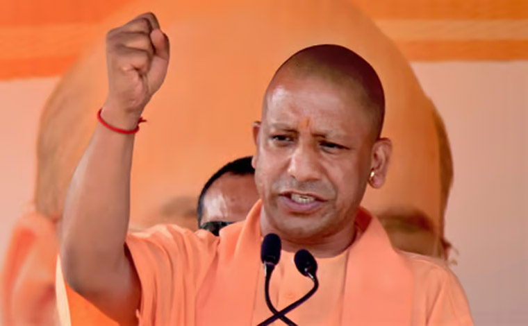 yogi.jpg