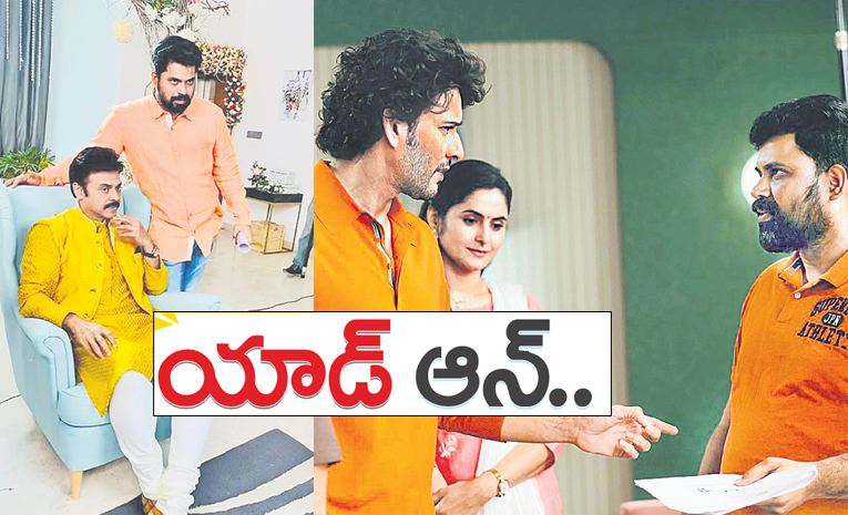 441.jpg