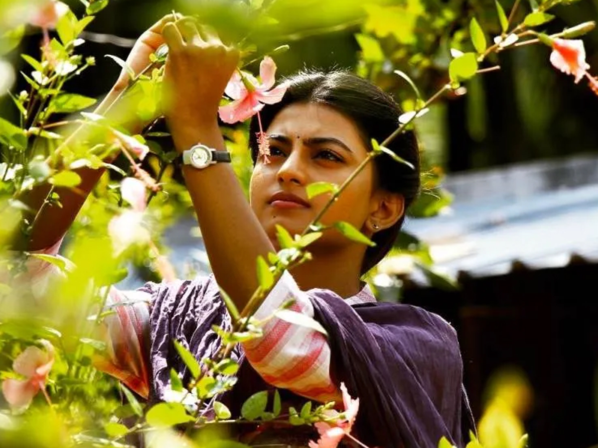 Anandhi-13.jpg 13