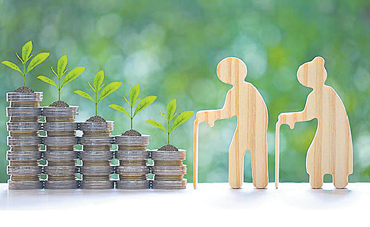 PENSION-FOCUSED-SCHEMES.jpg