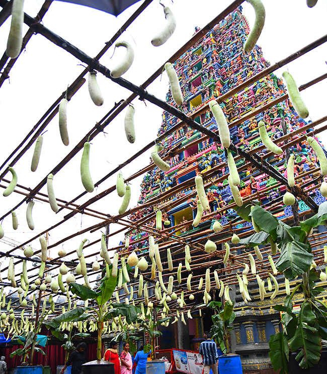 Shakambari_20Devi_20Festival_20Grandly_20Celebrated_20At_20Indrakeeladri__20_2819_29.jpg 19