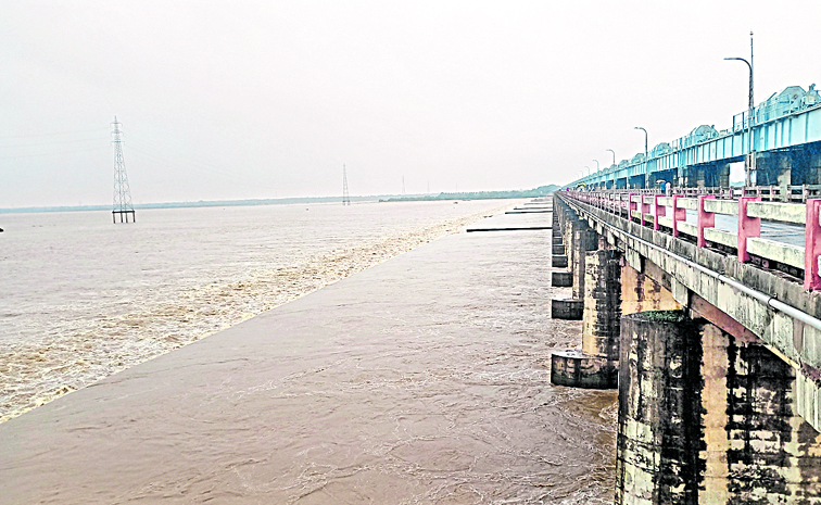 gdavari.jpg