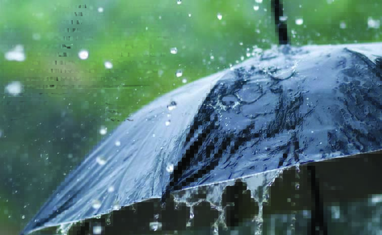 rain_20copy.jpg