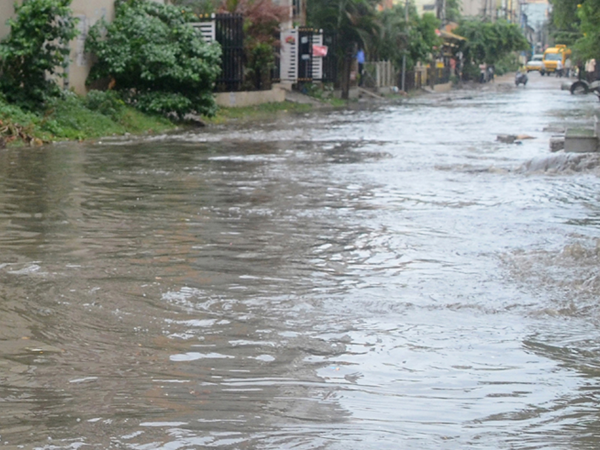 Rains-11.jpg 12