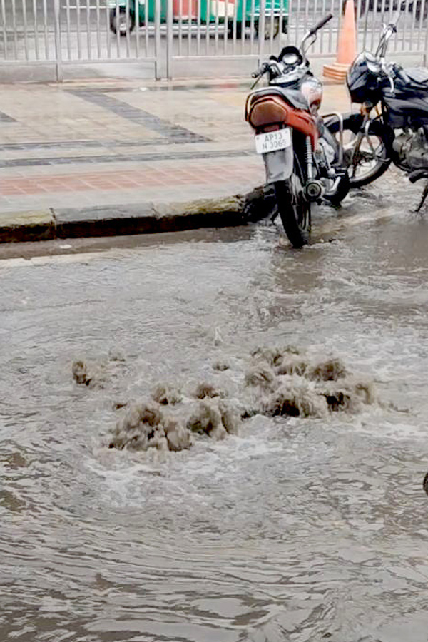 Rains-17.jpg 18