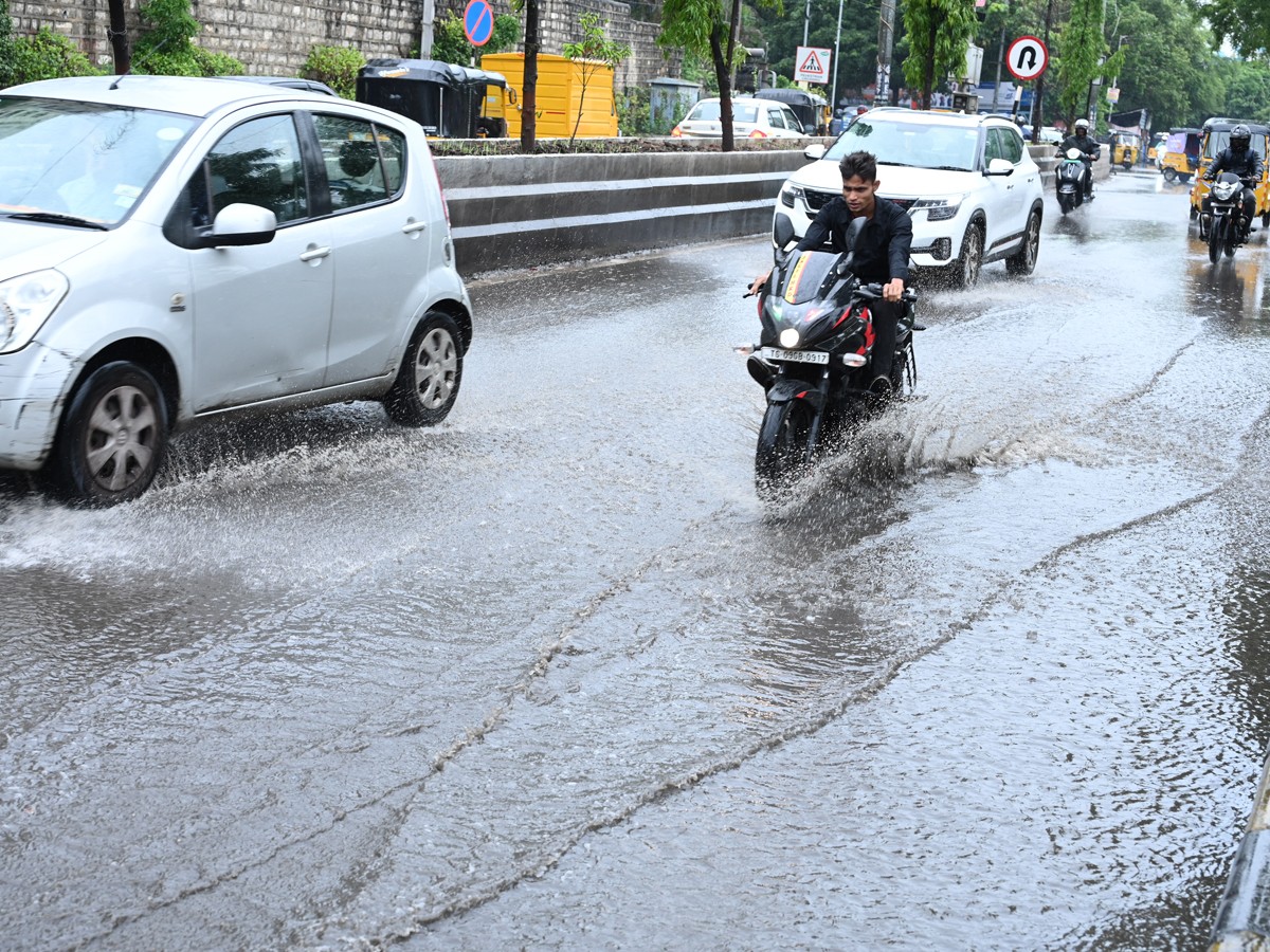 Rains-4.jpg 5