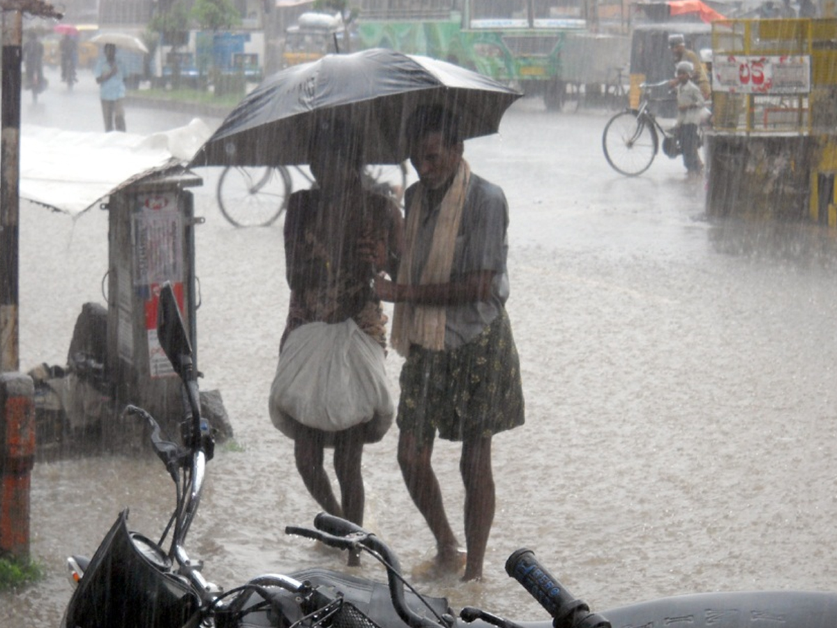 Rains-41.jpg 42