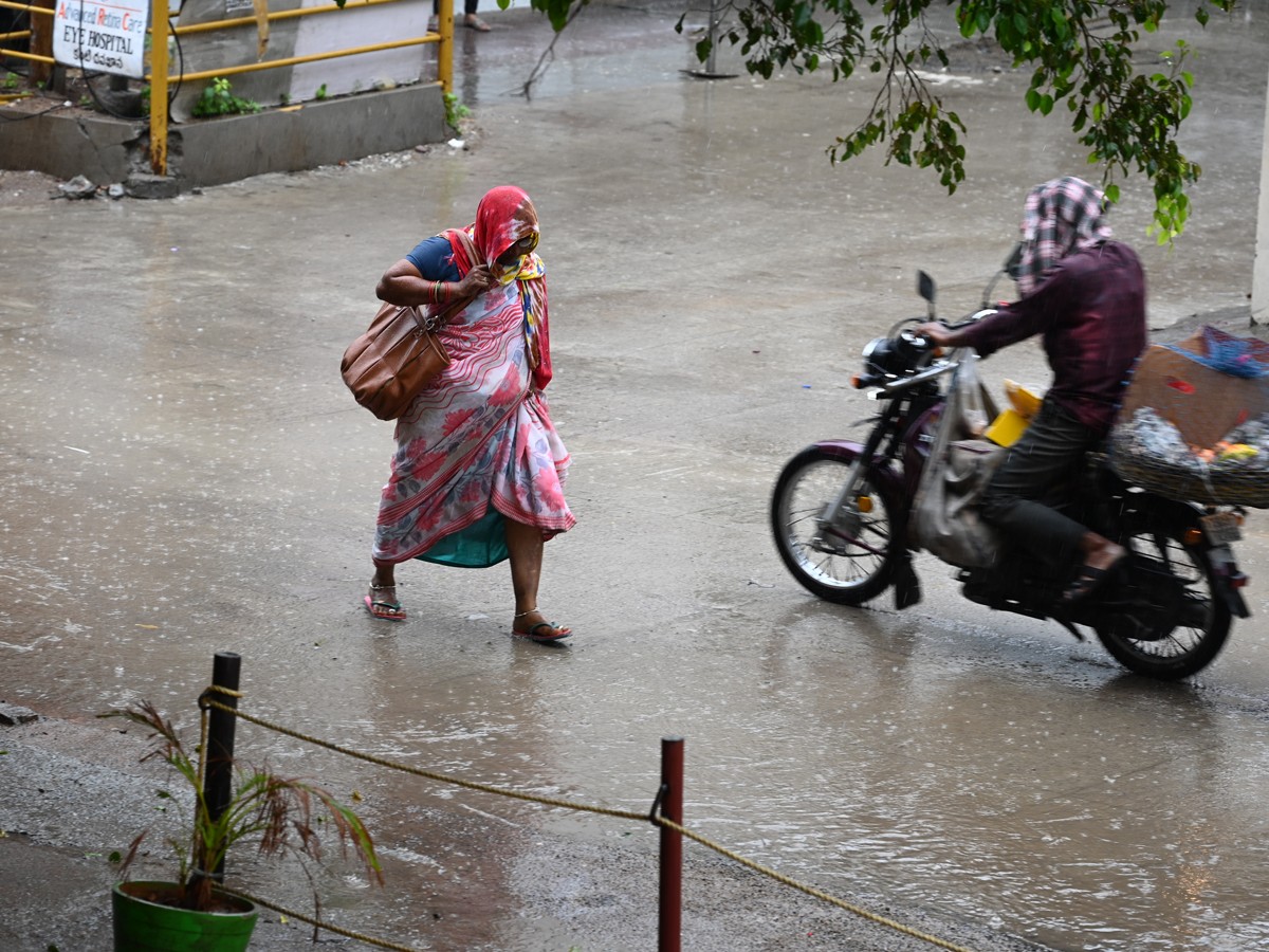 Rains-5.jpg 6