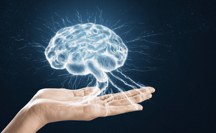 brain.jpg