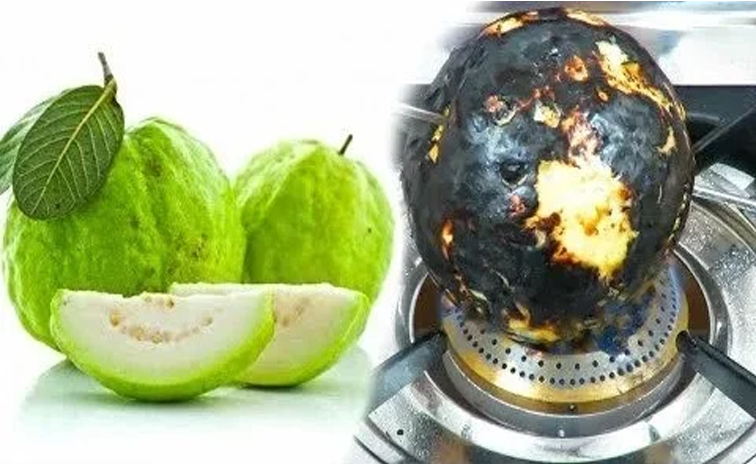 guava.jpg