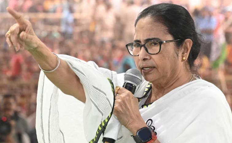mamata_0.jpg