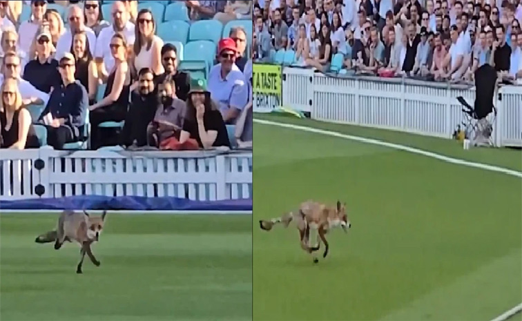 w_0.jpg