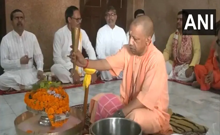 yogi-guru.jpg