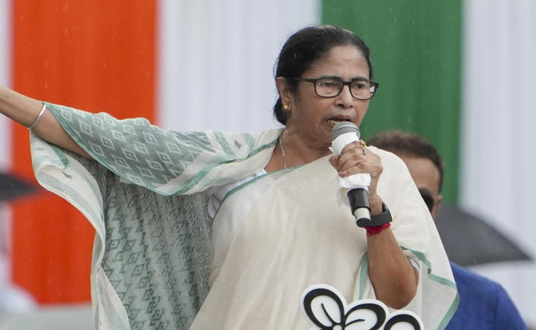 mamata_0.jpg