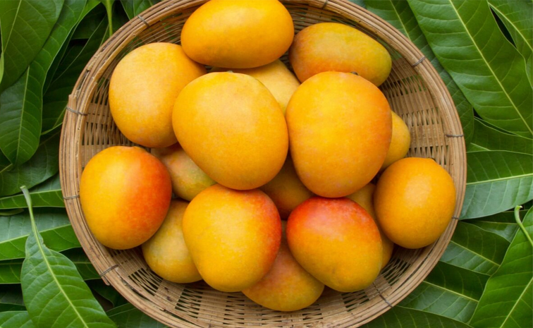 mango_0.jpg