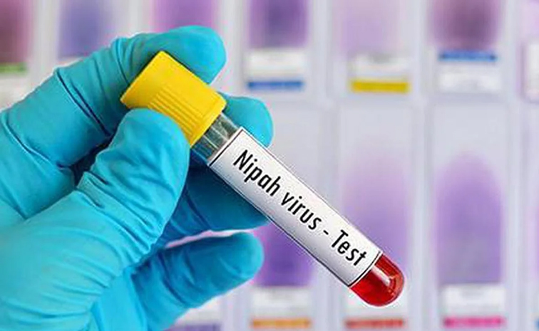 nipah.jpg