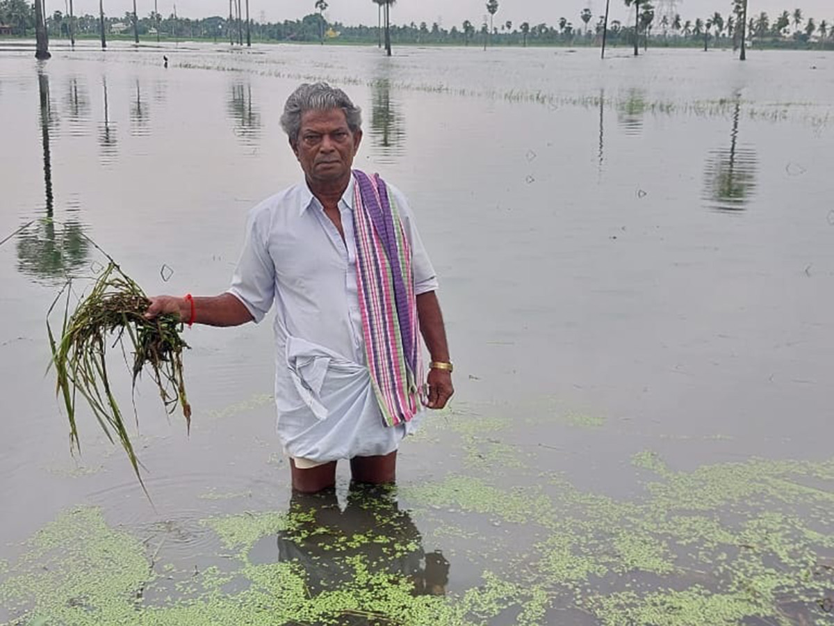 Heavy_20rains_20in_20konaseema_20districts_20photos_16.jpg 16