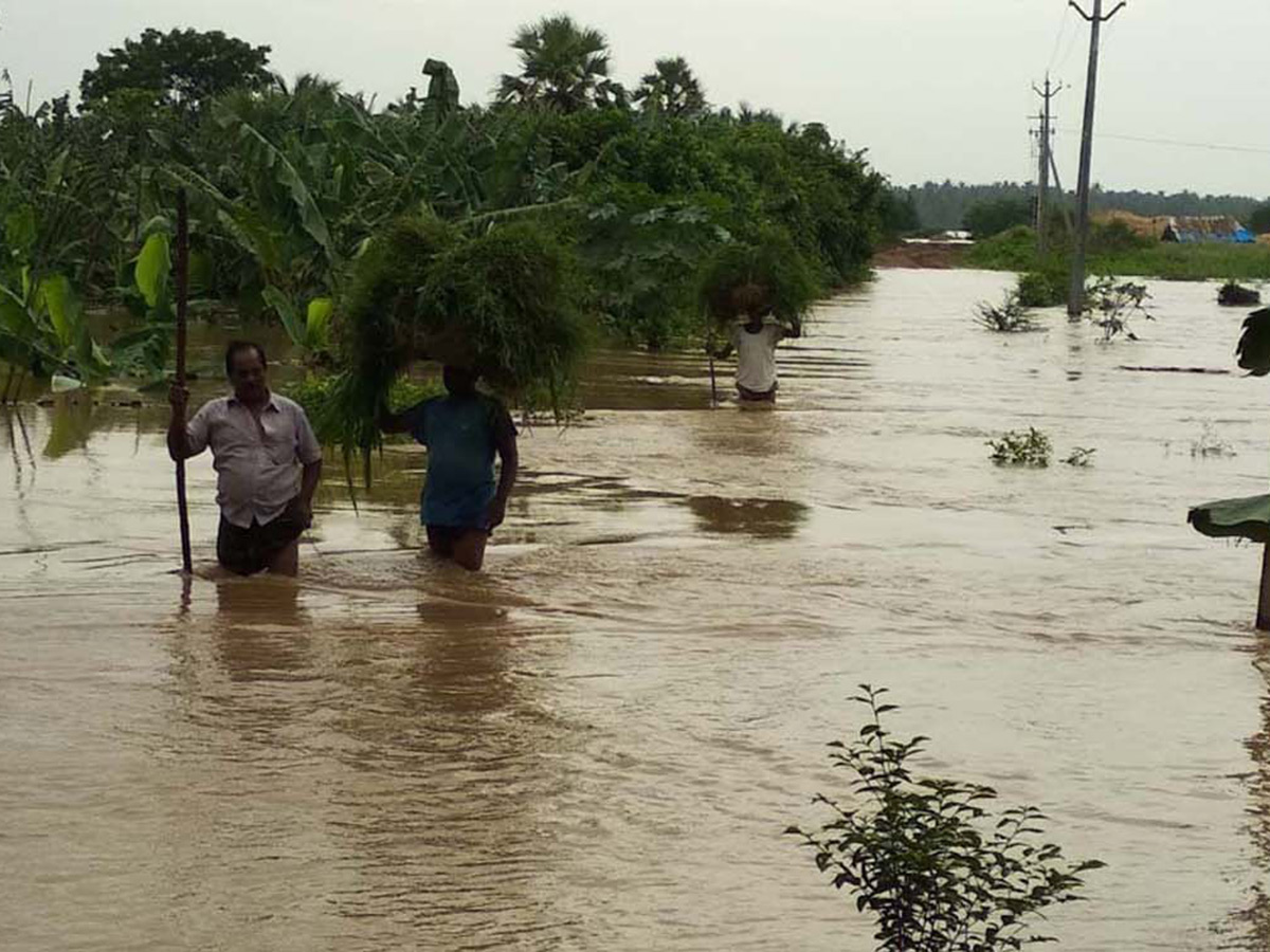 Heavy_20rains_20in_20konaseema_20districts_20photos_22.jpg 22