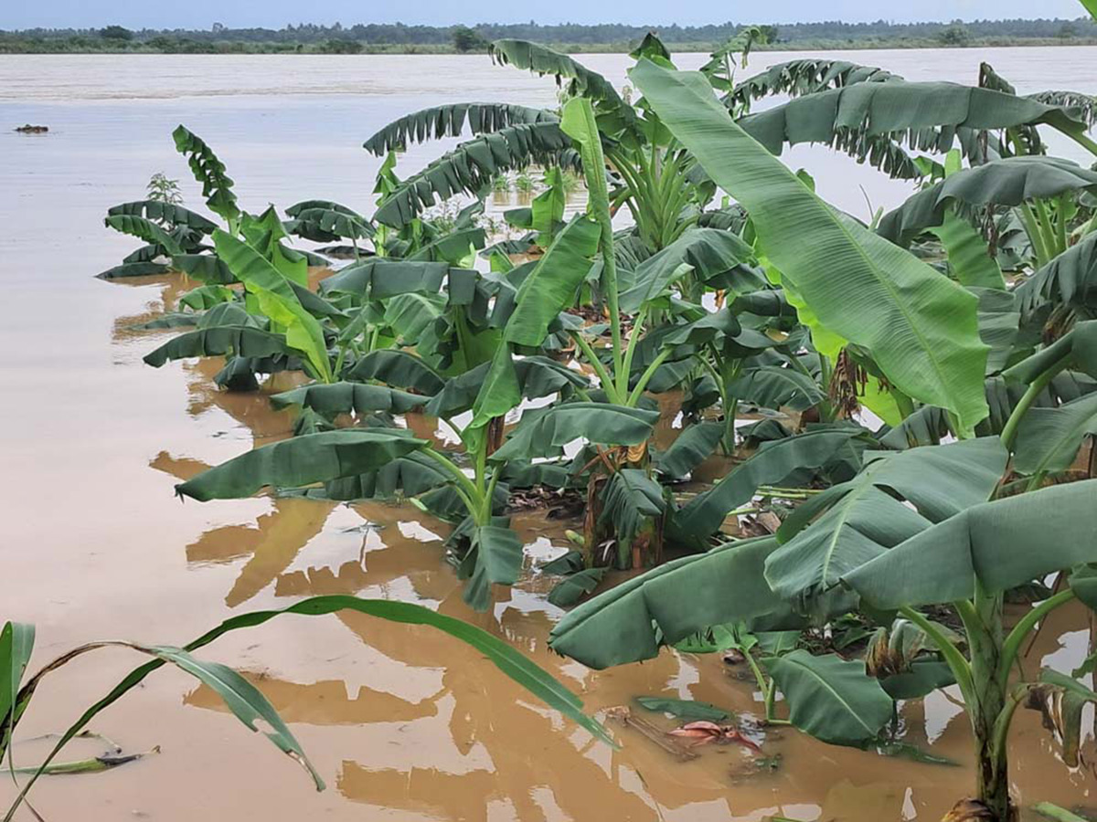 Heavy_20rains_20in_20konaseema_20districts_20photos_5.jpg 5