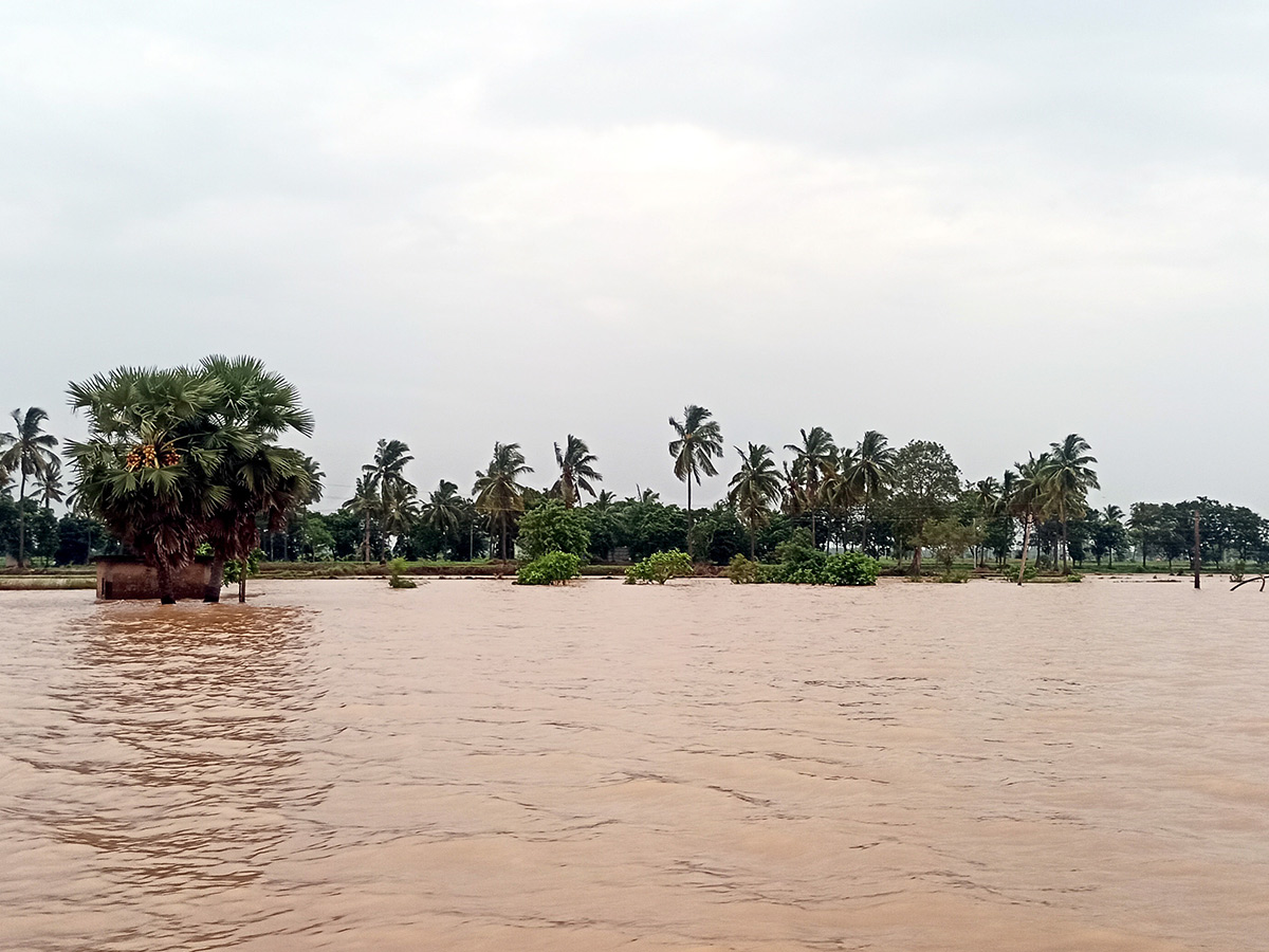Heavy_20rains_20in_20konaseema_20districts_20photos_9.jpg 9