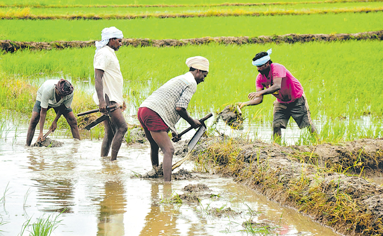 Farmers-1.jpg