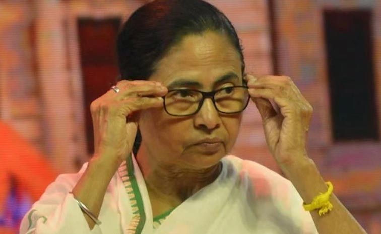 mamata_0.jpg