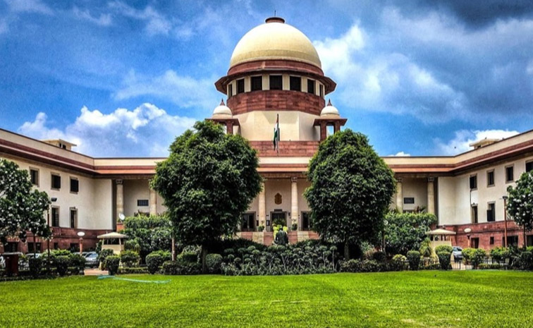 court.jpg