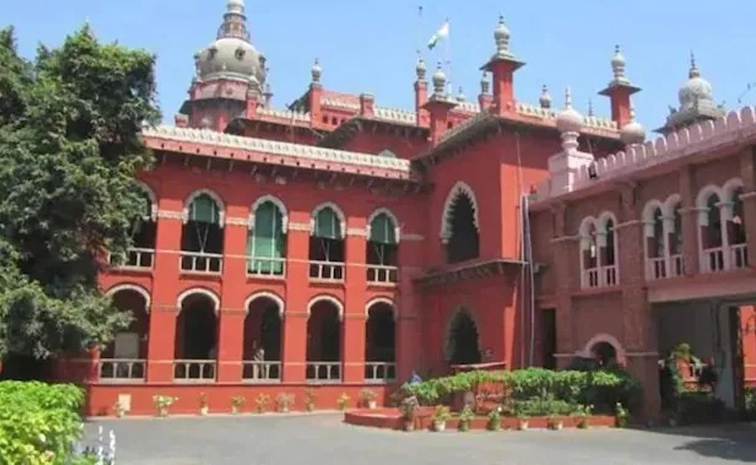 court2.jpg