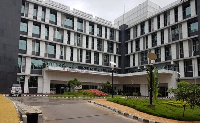 esi01.jpg
