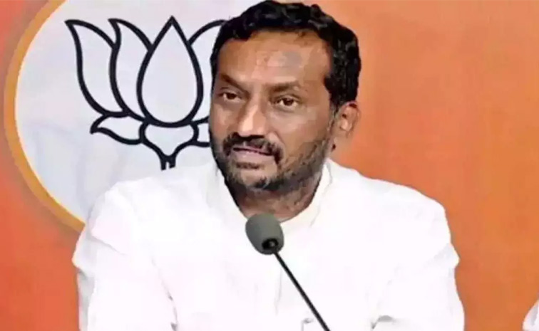 BJP-MP-Raghunandan-Rao.jpg