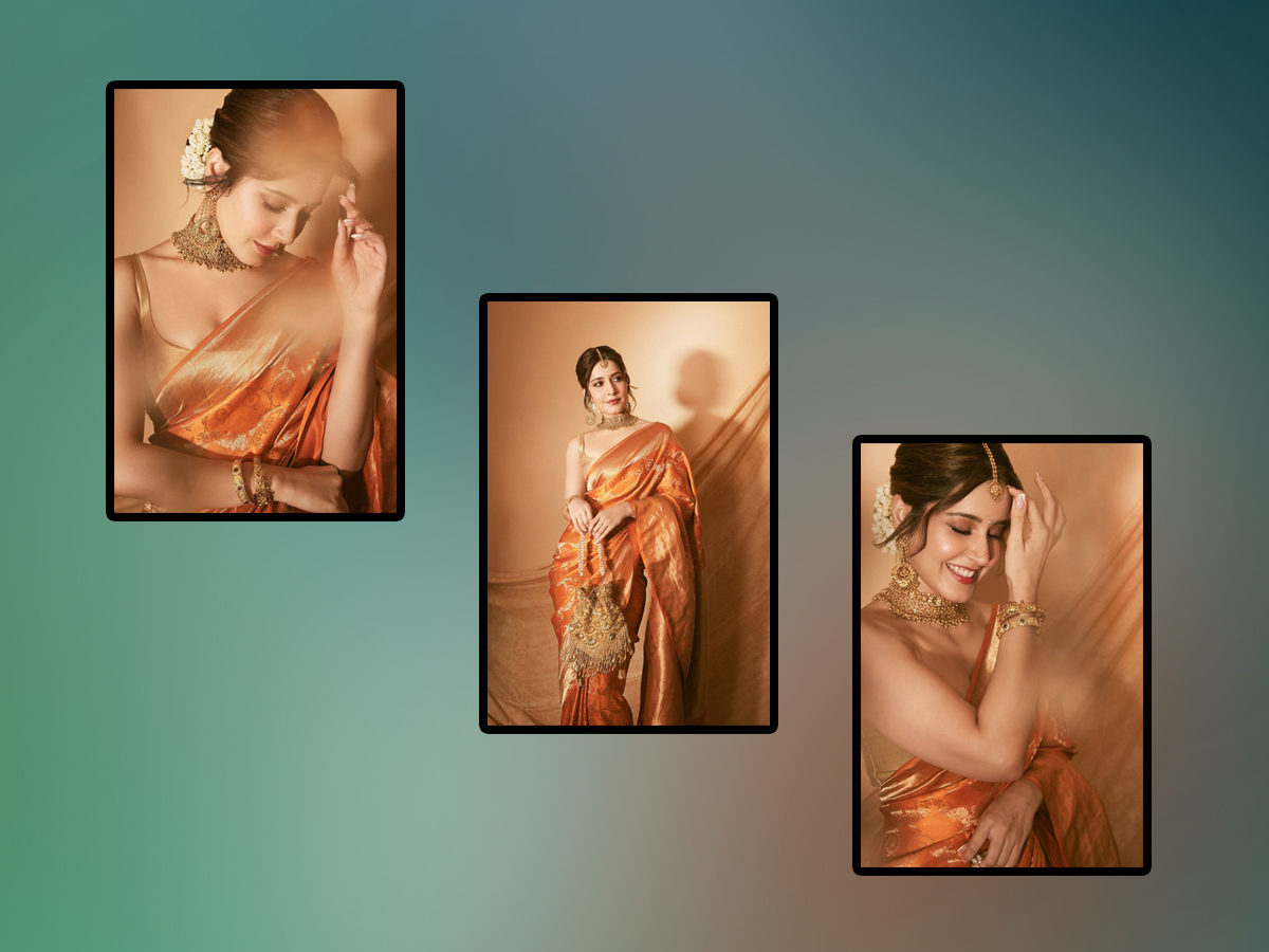 Raashii-Khanna-Banaras-Saree.jpg 1