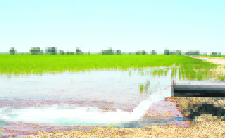 water_0.jpg
