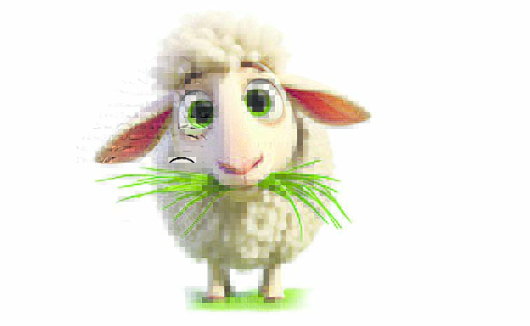 SHEEP1.jpg