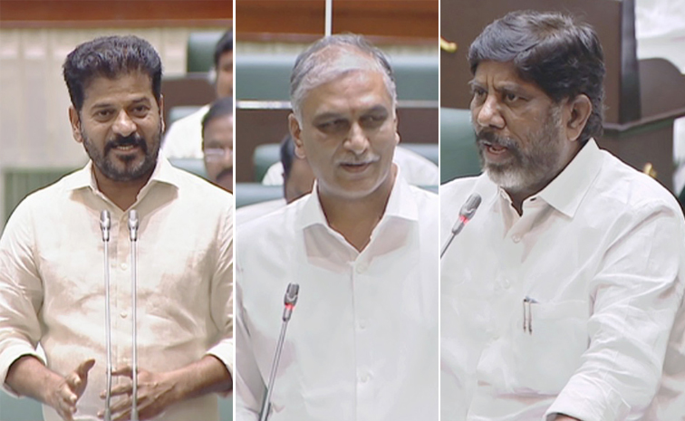 Telangana-Assembly_3.jpg