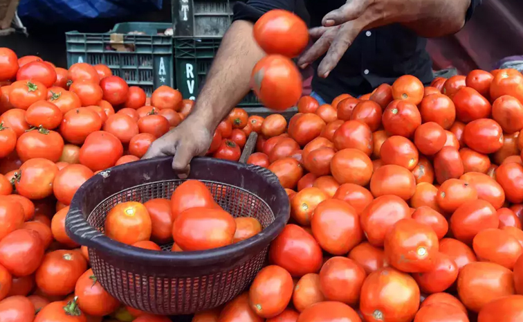 tomato.jpg