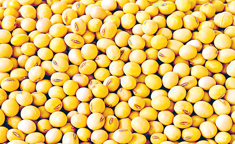 seeds.jpg