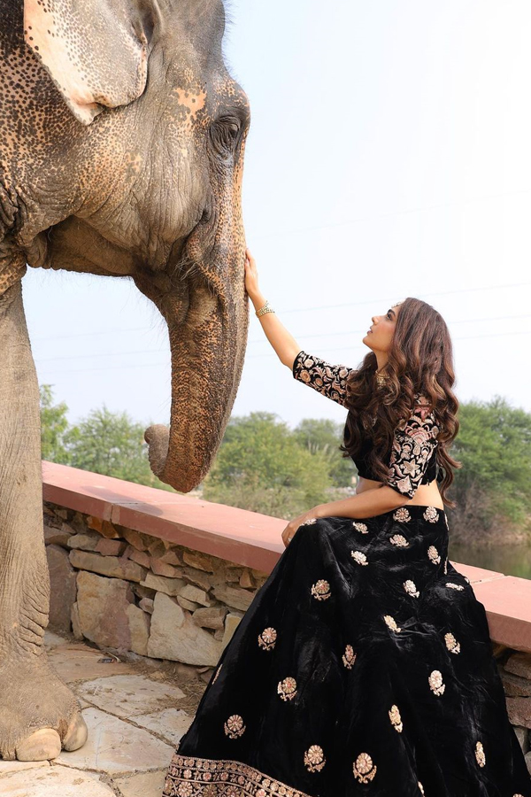 Aakanksha-Singh-25.jpg 26